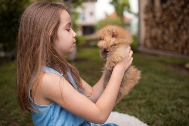 istock Young girl playing with small dog 1226489495