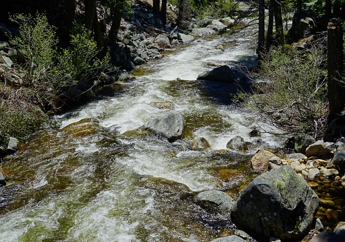 Central California's High Sierra Range.
El Dorado National Forest.
Strawberry Creek In May.