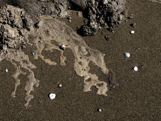 istock Mud running on to a dark sand beach 1226498384