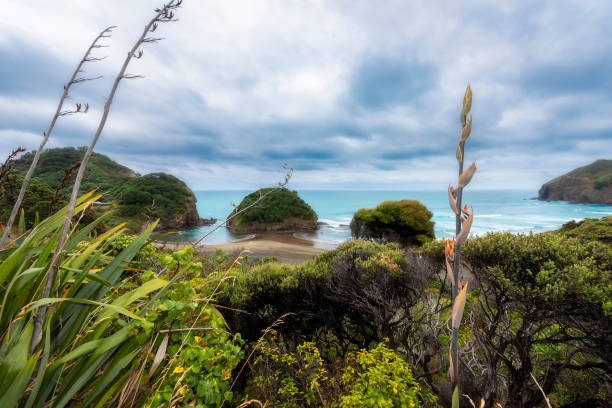 istock View across the bay at Te Henga 1226499068