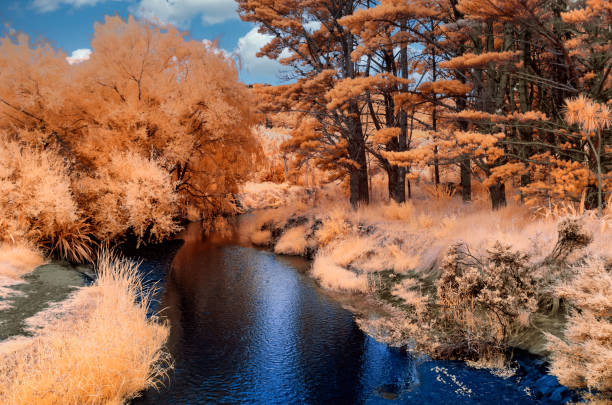 Infrared image of blue river with lined with golden foliage under a blue sky with clouds