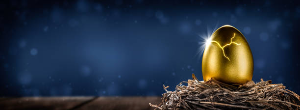 Golden Nest Egg On Wooden Table Cracking Open Shiny Golden Nest Egg On Wooden Table Cracking Open With Burst Of Light - Investment Maturity Concept is there a gold ira stock pictures, royalty-free photos & images
