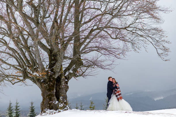 istock The bride and groom cuddle under a rug to keep warm. Winter wedding 1226514430