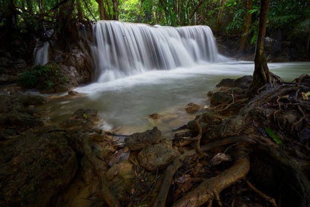 istock scenic of waterfall flow in forest and root of tree on foreground 1226516390
