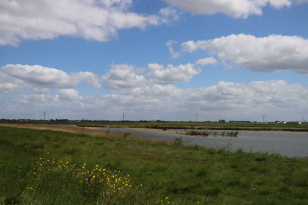 istock wind in the Eendragtspolder at Zevenhuizen in the Netherlands where four million cubic meter water store excess water in times of extreme rainfall 1226517143