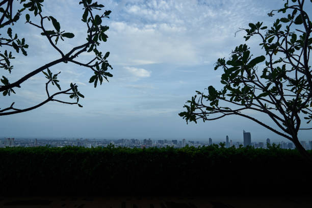 istock abstract silhouette tree and wood ground with blue sky and cloud 1226517206
