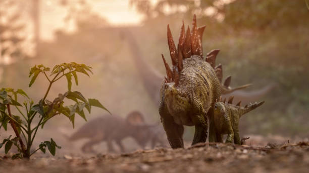 passeggiata stego - stegosauro foto e immagini stock