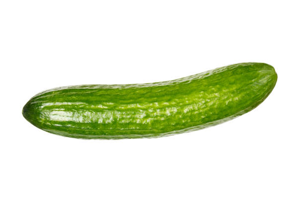 One ripe bright green cucumber One ripe bright green cucumber isolated on white background cucumber photos stock pictures, royalty-free photos & images