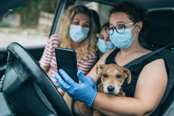 amici che viaggiano e utilizzano la navigazione durante covid-19 - remote dog control animal foto e immagini stock