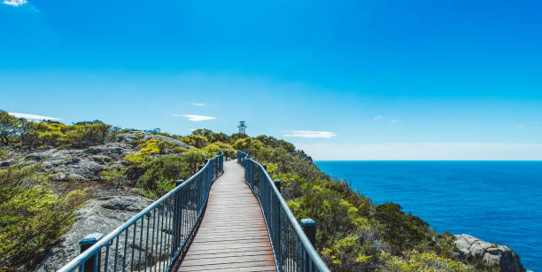 istock Road to Lighthouse in Tasmania 1226527222