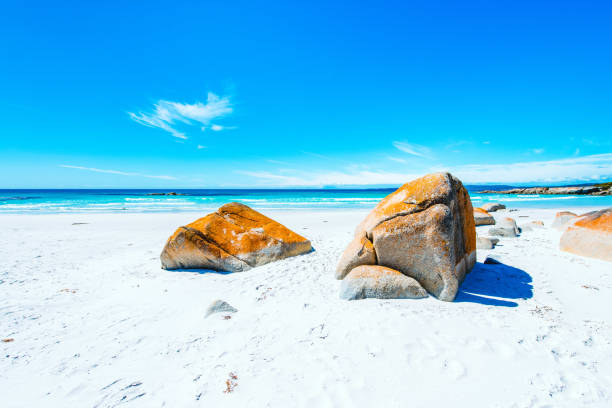 istock Bay of Fires, Tasmania, Australia 1226527241