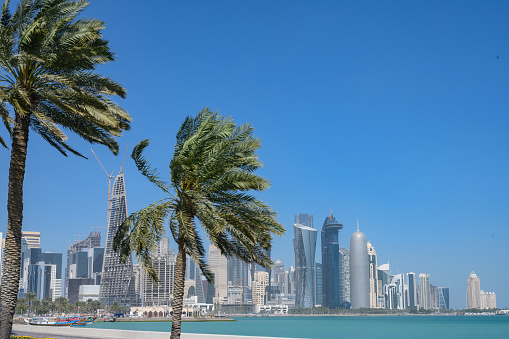 Palm treelined view of Doha, capital of Qatar, copy space, clear sky, Nikon Z7
