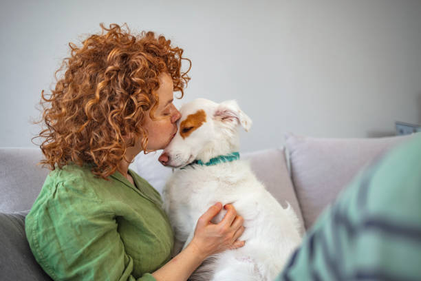 istock Happiness is a warm puppy 1226531362