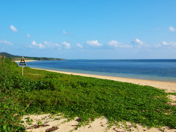 istock Scenery of Okinawa Iriomote Island 1226538749