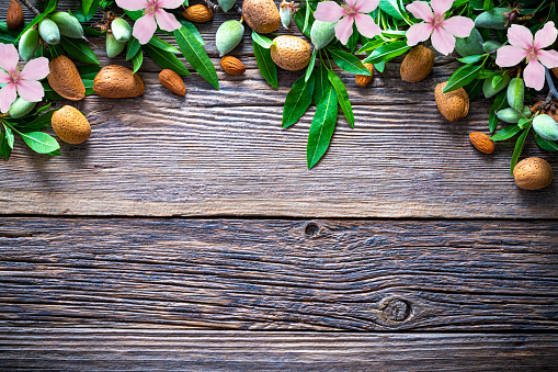 Almond fruits and almond flowers tree banches copy space on rustic wooden board and nuts