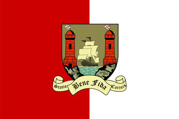 flaga miasta cork w munster irlandii - munster province illustrations stock illustrations