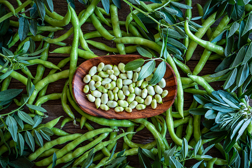 Broad beans lima beans fresh just after harvest background with plant leaves