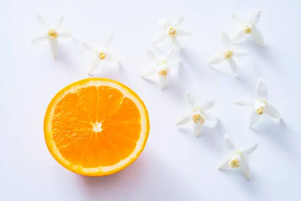 Azahar flower orange blossom and half cut orange fruit on white background