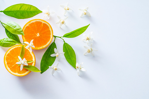 Azahar flower orange blossom and half cut orange fruit on white background and orange tree leaves