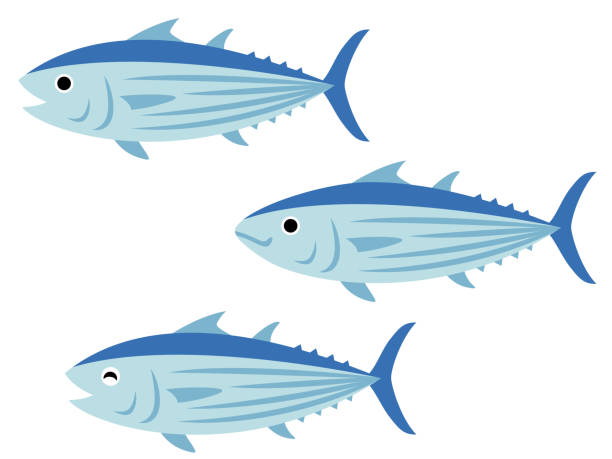 Cartoon Tuna Stock Photos, Pictures & Royalty-Free Images - iStock