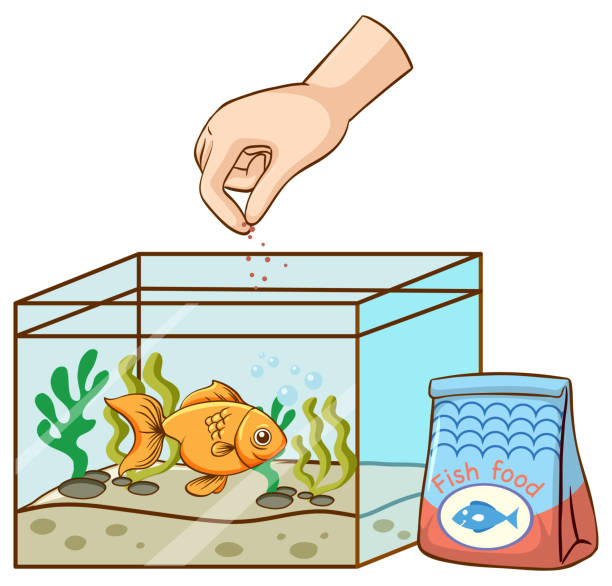464 Fish Food Illustrations & Clip Art - iStock | Pet fish food, Fish food  chain, Fish food vector