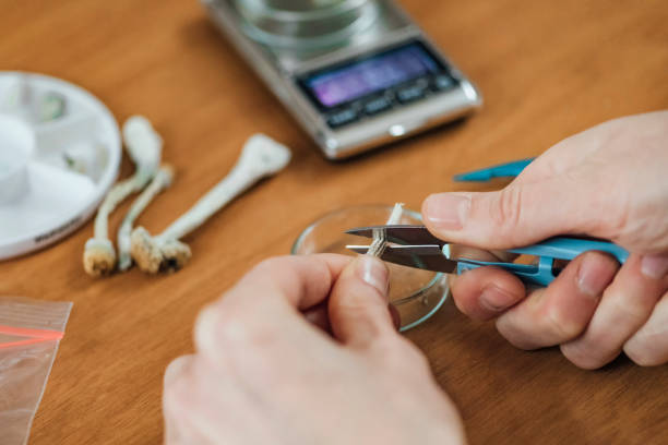 istock Micro Dosing Psilocybin Alternative Therapy. Cutting Magic Mushrooms and Making Daily Micro Doses 1226545282