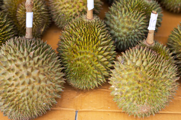 Small thai durian fruits