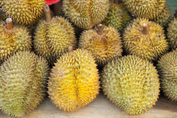 istock Group of thai durian fruits 1226549385