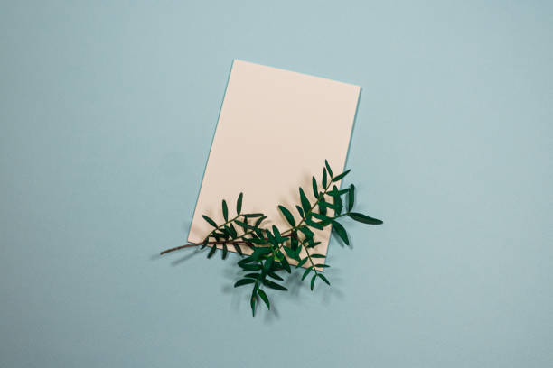 istock Minimalistic composition with white blank card and sprig of greenery on a trendy blue pastel background. Mockup with blank card. Place for text. Flat lay. Top view. 1226551930