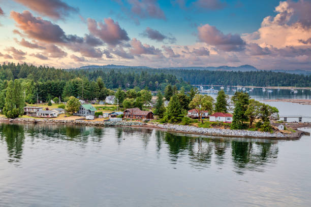 British Columbia Coast and Harbor at Dusk Homes along the coast of Canada near Nanaimo vancouver island photos stock pictures, royalty-free photos & images