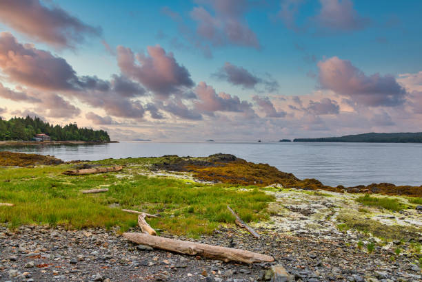 istock Rocky Beach in Alaska 1226552289