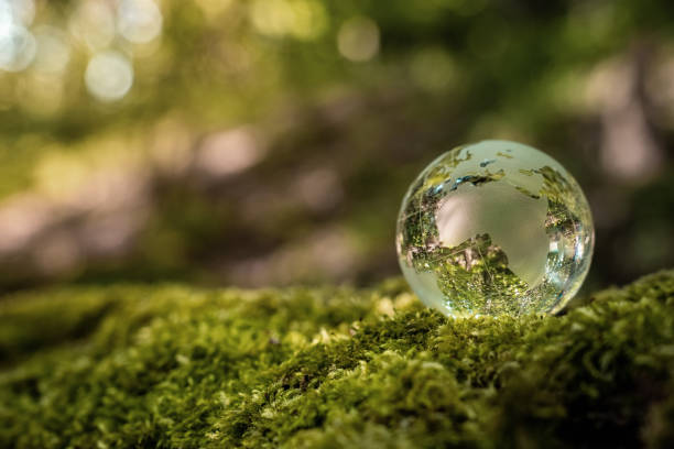 istock Close up of glass globe in the forest 1226553534