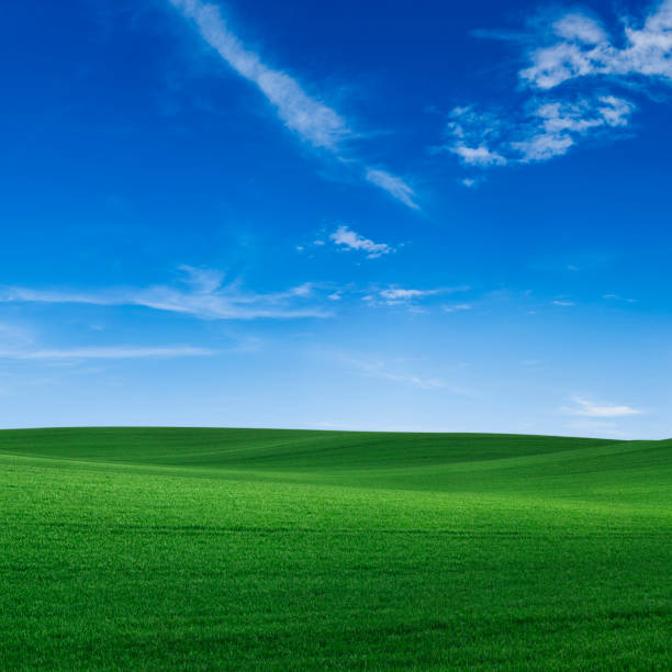 istock Panoramic spring landscape XXXXL 66 MPix - green field, blue sky 1226554413