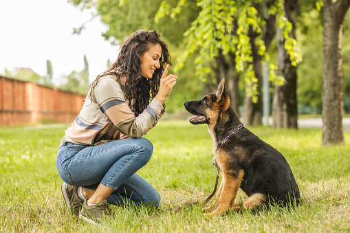 Young woman playing with her German Shepherd dog at the park