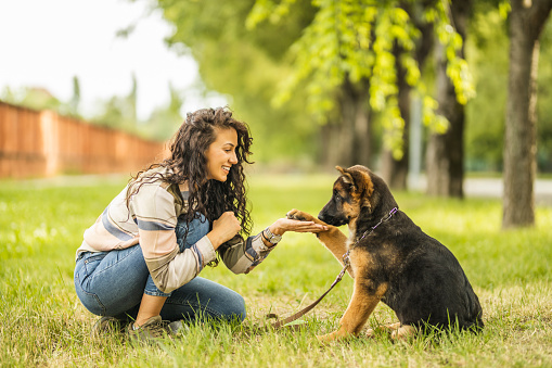 Young woman playing with her German Shepherd dog at the park
