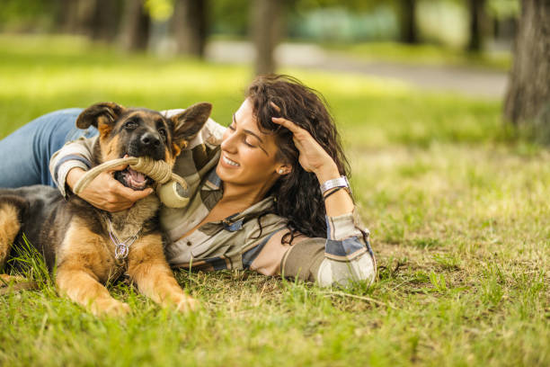 istock Woman playing with her dog at the park 1226558485