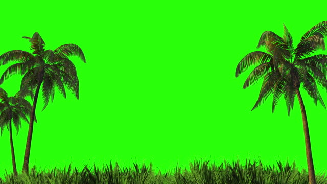 Harvesting, design palm trees and grass on a green background.  Green screen for keying and alpha channel