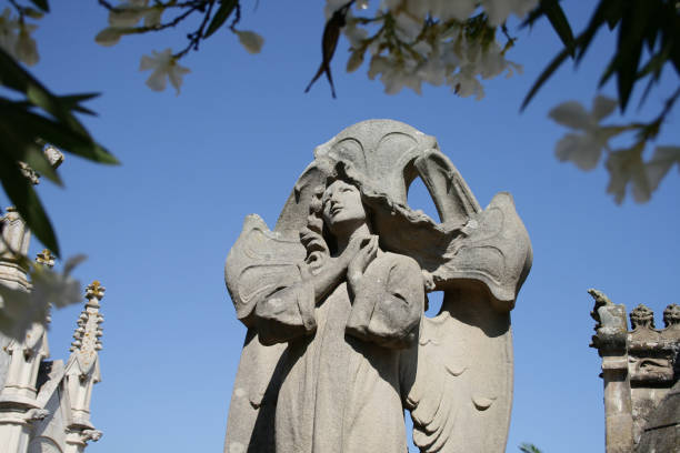 Stone angel in a cemetery. stock photo