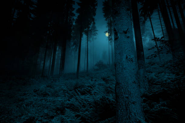 istock Full moon over the spruce trees of magic mysterious night forest. Halloween backdrop. 1226559761