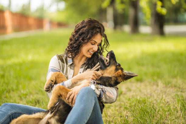 istock Woman playing with her dog at the park 1226560363