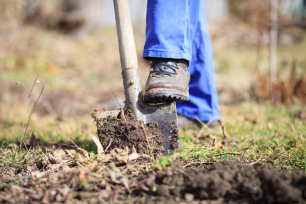 istock Senior man digging a garden for new plants after winter by spade 1226561003