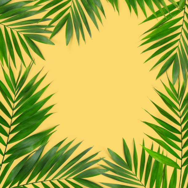 istock Green plants summer concept template for your text or design on yellow paper background. 1226561045