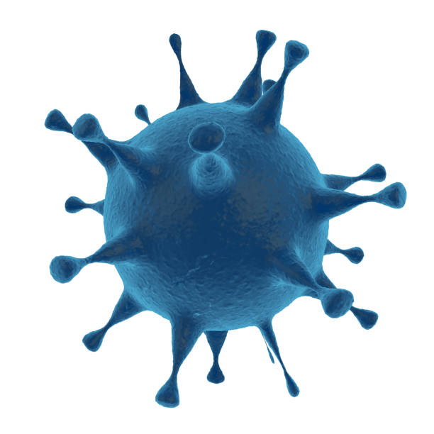 istock COVID-19 virus in the human body. Isolated white background 1226561757