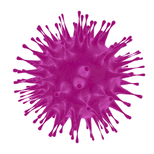 istock COVID-19 virus in the human body. Isolated white background 1226562951
