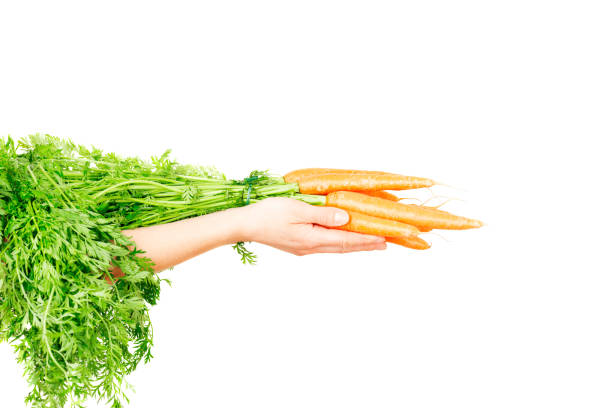 istock Carrot with leaves isolated on white background in human hand 1226564350
