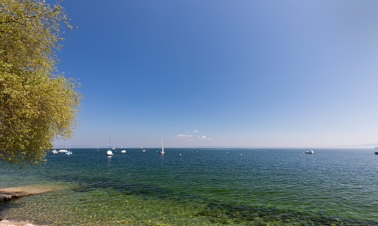 beautiful view over the Lake Constance in rorschach, switzerland, with overhanging green tree