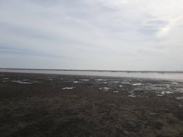 istock Beach, Sea And Sky View. Dummash Beach In Surat, Gujarat, India. 1226568031