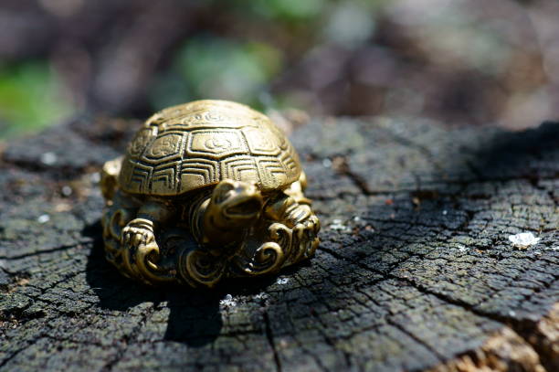 istock Symbol of Feng Shui. 1226568341