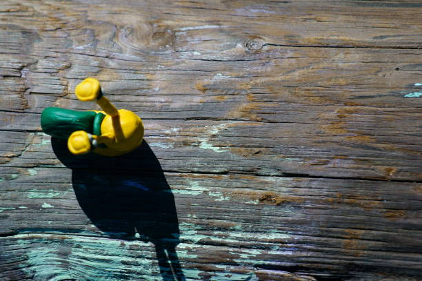 Snail made of plasticine on a colored natural background. Children's creativity. Beautiful figures made of plasticine.