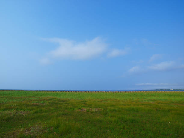 istock Summer Hokkaido landscape 1226573085